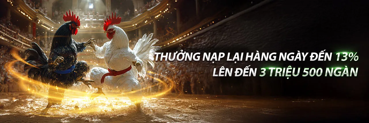 Đá Gà Trực Tuyến BL5555 App 2026